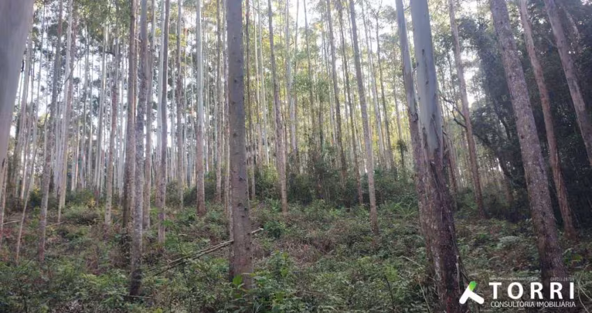 Área á venda no vale do ribeira região de registro sp