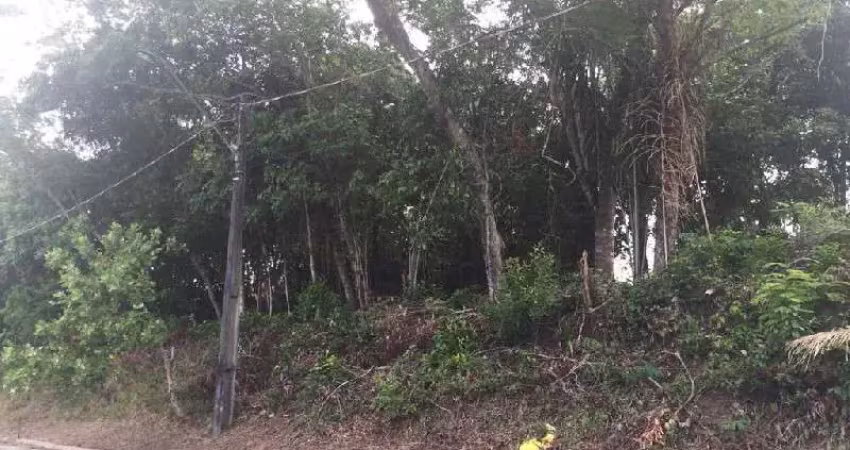 Terreno à venda na Avenida Sócrates Bonfim, 1538, Ponta Negra, Manaus