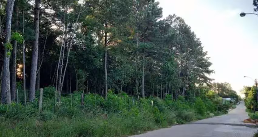 Terreno à venda na Rua Alberto Adolpho Fruchtenicht, 7, Campestre, São Leopoldo