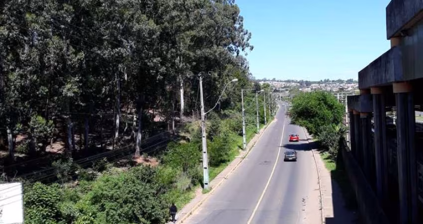 Terreno à venda na Avenida Mauá, Santa Teresa, São Leopoldo