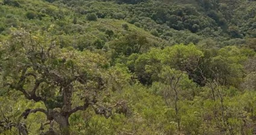 Terreno à venda na Serra Dos Rosa, 1, Zona Rural, Encruzilhada do Sul