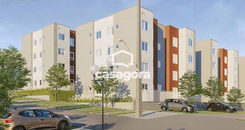 Apartamento com 2 dormitórios à venda- lamenha grande - almirante tamandaré