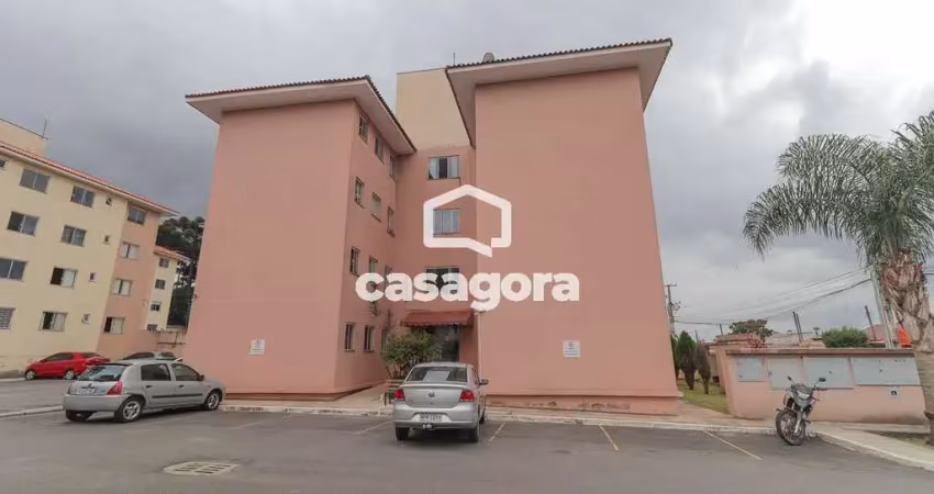 Apartamento à venda 2 quartos, pioneiros, fazenda rio grande - pr