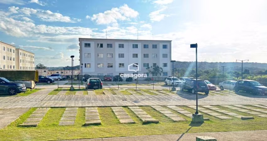 Apartamento à Venda em São José dos Pinhais, Completo em Estrutura e Conforto