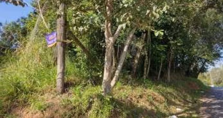 Terreno comercial para alugar na INTEGRACAO, 2814 - FEITORIA - SAO LEOPOLDO, 2814, Feitoria, São Leopoldo