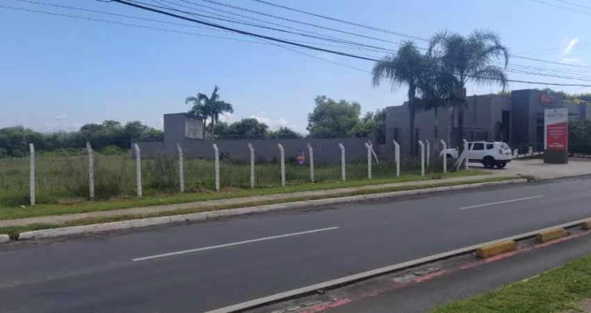 Terreno comercial à venda na Avenida Imperatriz Leopoldina, 1590, Pinheiro, São Leopoldo