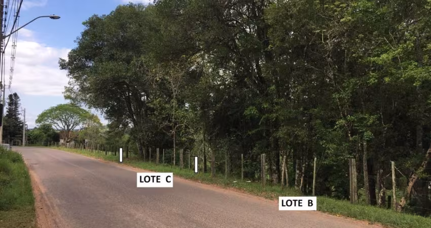 Terreno à venda na Estrada Francisco Waldemar Bohrer, 345, Lomba Grande, Novo Hamburgo