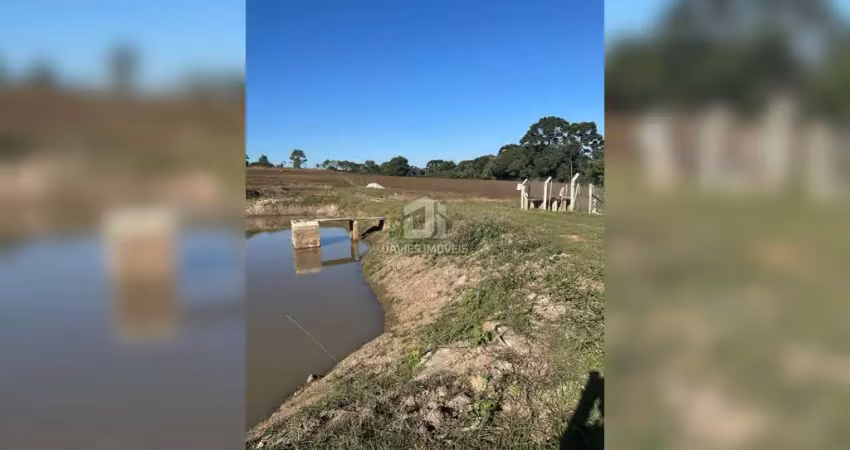 Chácara / sítio com 6 quartos à venda na Rua Vila Nova, 2100, Cachoeira, São José dos Pinhais