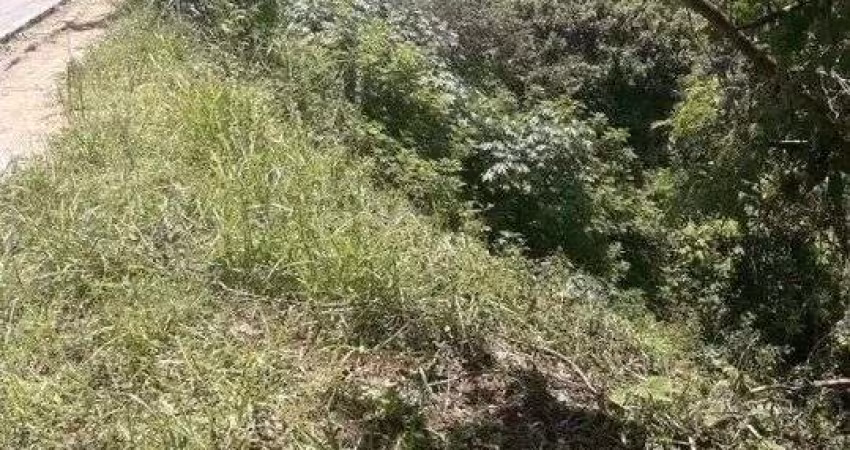 Terreno Lote em Chácara São João, São Paulo/SP