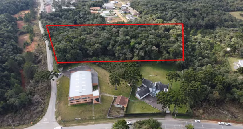 Terreno de 12.000 metros à venda - são josé dos pinhais/pr