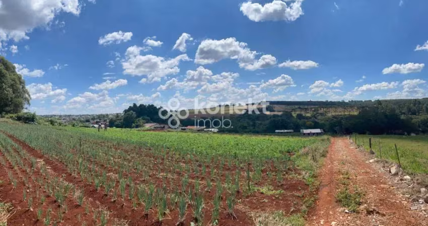 Chácara / sítio à venda no Floresta, Cascavel 