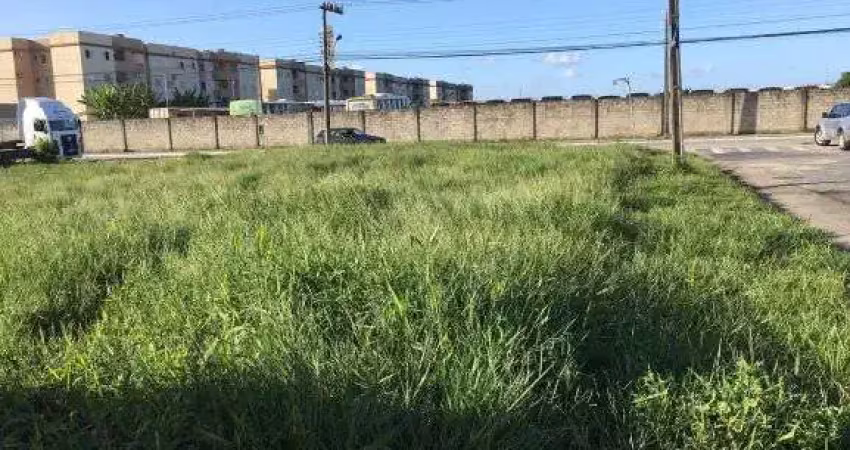 Terreno comercial para alugar na Avenida Ministro Luiz Gallotti, 364, Cidade Nova, Itajaí