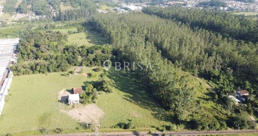 TERRENO COMERCIAL COM 53 MIL METROS NO BAIRRO CENTENÁRIO