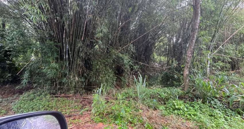Terreno à venda, 384 m² por R$ 110.000 - Jardim Atlântico Oeste - Maricá/RJ