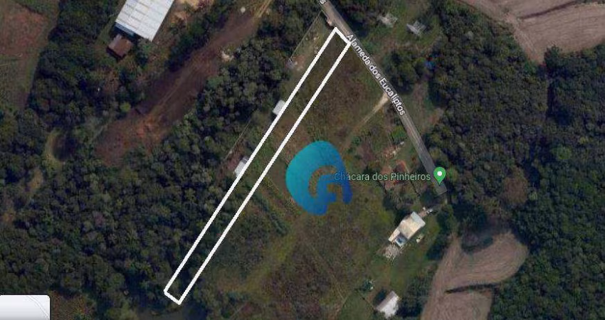 Chácara com 1 dormitório à venda, 2572 m² por R$ 459.990,00 - Costeira - São José dos Pinhais/PR