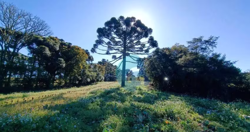 Terreno à venda, 19271 m² por r$ 699.000,00 - avencal - são josé dos pinhais/pr