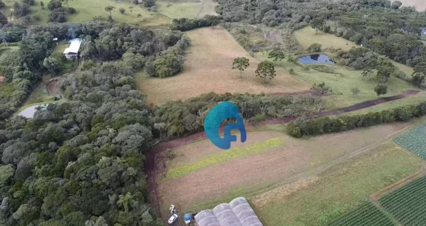 Terreno à venda, 19271 m² por R$ 379.000,00 - Avencal - São José dos Pinhais/PR