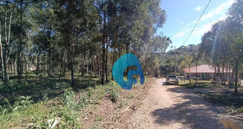 Chácara à venda, 2100 m² por R$ 159.990,00 - Roseira - Colombo/PR