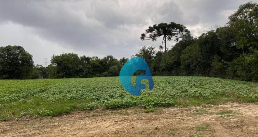 Chácara à venda, 20148 m² por R$ 699.990,00 - Felpudo - Campo Largo/PR