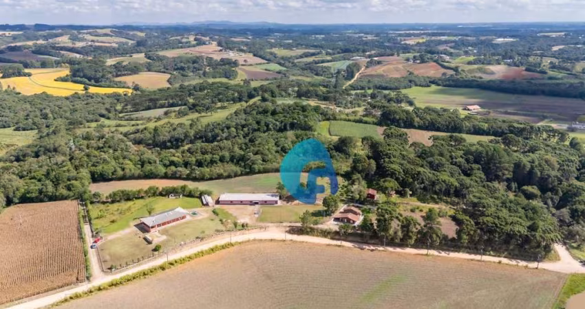Chácara com 7 dormitórios à venda, 31000 m² por R$ 2.499.990,00 - Avencal - São José dos Pinhais/PR