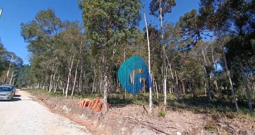 Terreno à venda, 2100 m² por R$ 179.990,00 - Roseira - Colombo/PR
