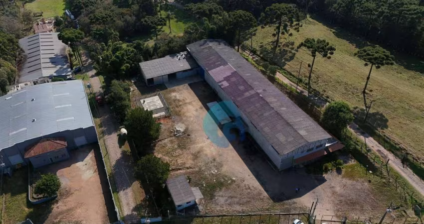 Barracão para alugar, 1700 m² por R$ 30.000,00/mês - Campo Largo da Roseira - São José dos Pinhais/PR