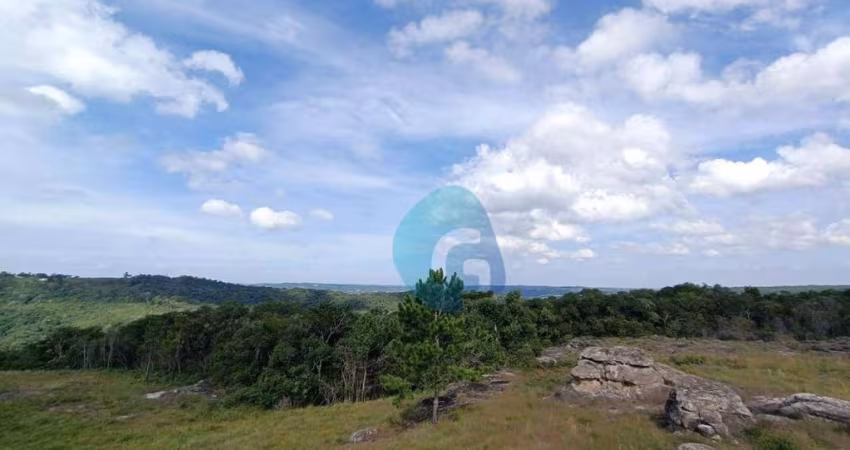 Chácara à venda, 20000 m² por R$ 990.000,00 - São Luiz do Purunã - Balsa Nova/PR