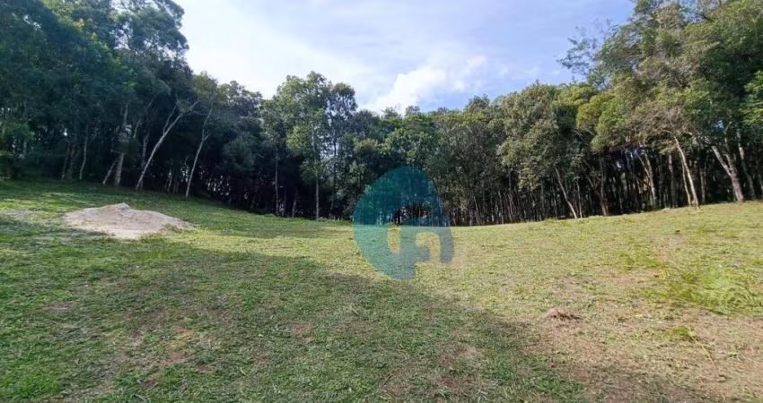 Chácara à venda, 20000 m² por R$ 599.000,00 - Zona Rural - Balsa Nova/PR