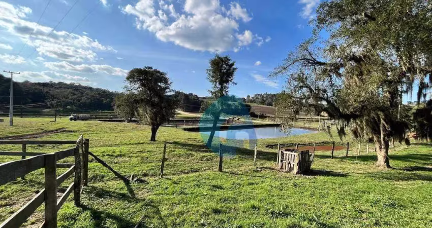 Fazenda com 5 dormitórios à venda, 968000 m² por r$ 20.000.000 - avencal - são josé dos pinhais/pr