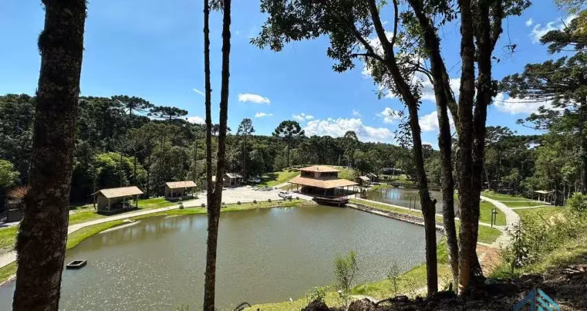 Chácara linda, açude grande, poço artesiano, 150 metros do asfalto, em campina grande do sul, pr