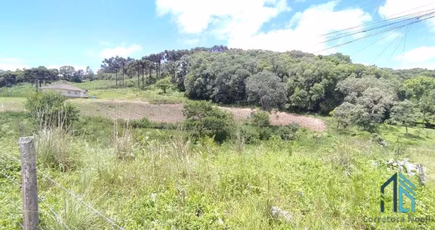 Terreno/área a venda, 20 hectares em são roque, flores da cunha rs