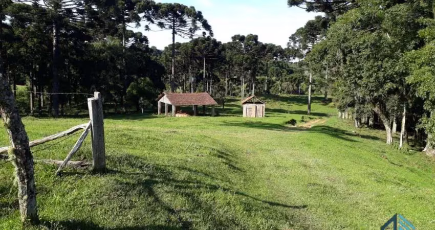 Chácara a venda, 142.134 M²,  Bugre, Balsa Nova PR