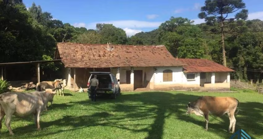 Sítio ótima localização, documentada, 15 alqueires com casas, Tijucas do Sul - PR