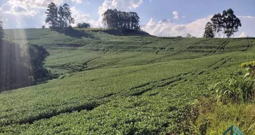 Sítio com 121.000 mil m² a venda, com Infra estrutura, no IRETEMA /Campo Mourão PR