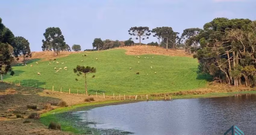 Sítio/chácara a venda com 33 hectares bem localizado no interior de são joaquim - sc