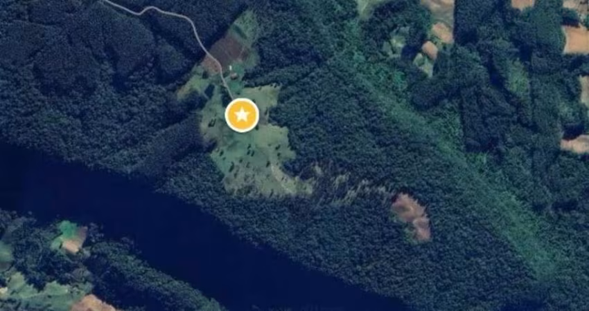 Fazenda com 120 hectares, para investimentos, pronta para plantio em DONA EMMA -SC
