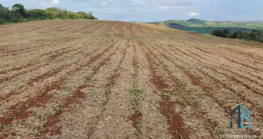 Fazenda com 57 alqueires (plantando 46) solo roxo alta fertilidade, engenheiro beltrão pr
