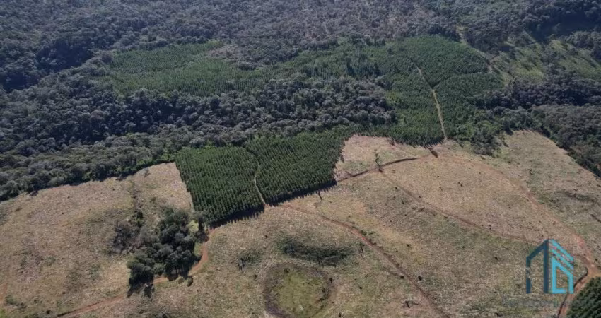 Terreno localização privilegiada, próxima à cidade e com potencial General Carneiro PR