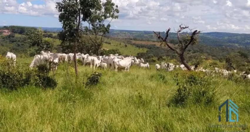 Fazenda em  abadiânia, muita água (permuta total se for em goiânia) goiania - go
