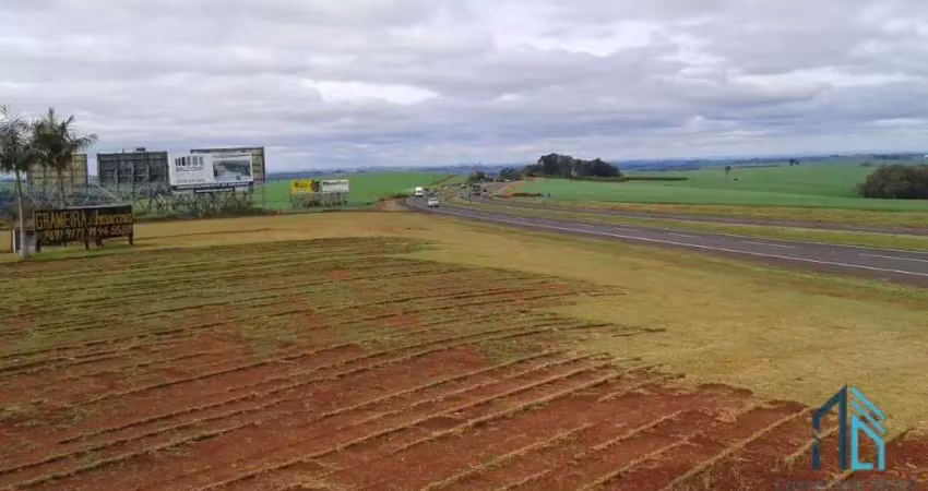 Terreno 92mil m², entre a cidade de rolândia e arapongas, rodovia 986 km 8 contorno sul de rolândia pr