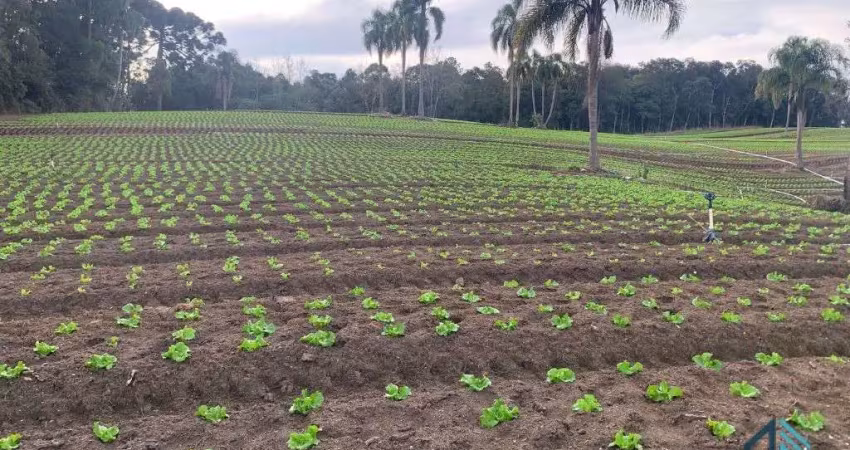 Terreno limpo plano 21.000 mil m², a venda no umbará em curitiba - pr