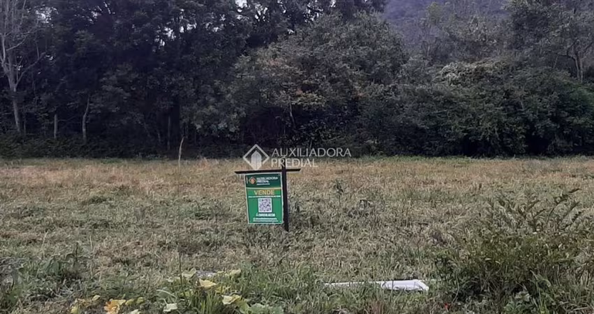 Terreno à venda na Rodovia Baldicero Filomeno, Ribeirão da Ilha, Florianópolis