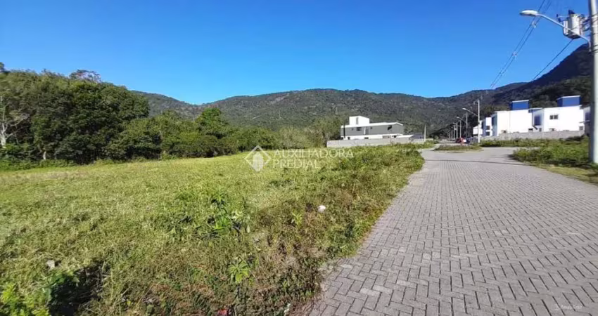 Terreno à venda na Rodovia Baldicero Filomeno, Ribeirão da Ilha, Florianópolis