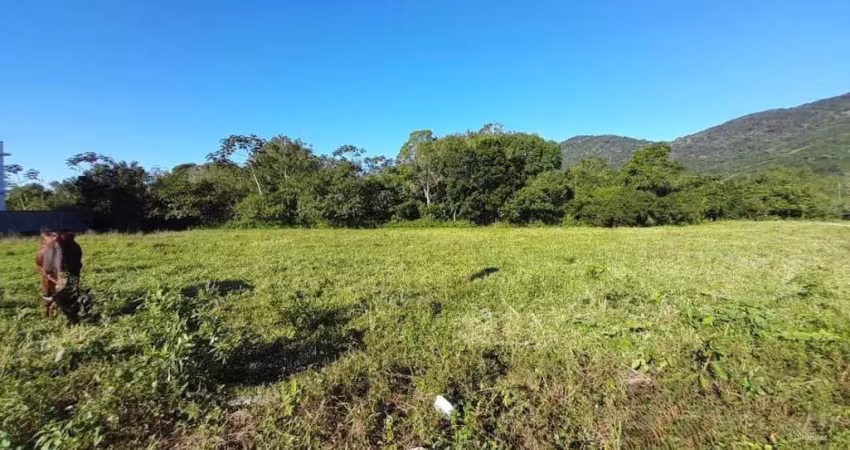 Terreno à venda na Rodovia Baldicero Filomeno, 3160, Ribeirão da Ilha, Florianópolis