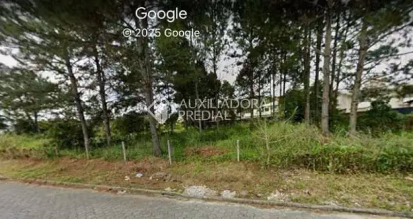 Terreno à venda na Rua Sabino Anísio da Silveira, 1, Campeche, Florianópolis