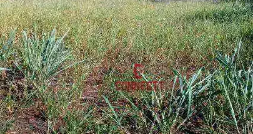 Terreno à venda na Via Anhangüera, Recreio Anhangüera, Ribeirão Preto