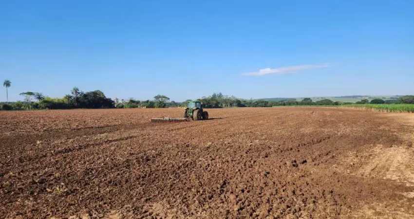 Fazenda à venda, 30000 m² por r$ 7.000.000 - área rural - ribeirão preto/sp
