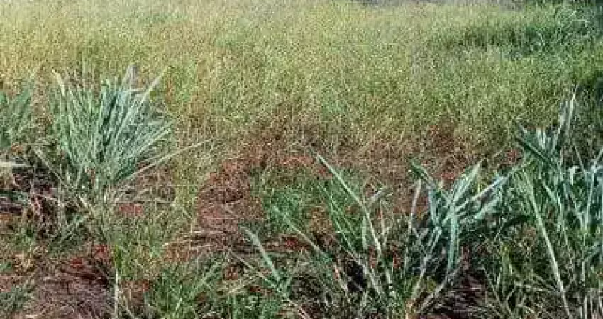 Terreno à venda no Recreio Anhangüera, Ribeirão Preto 