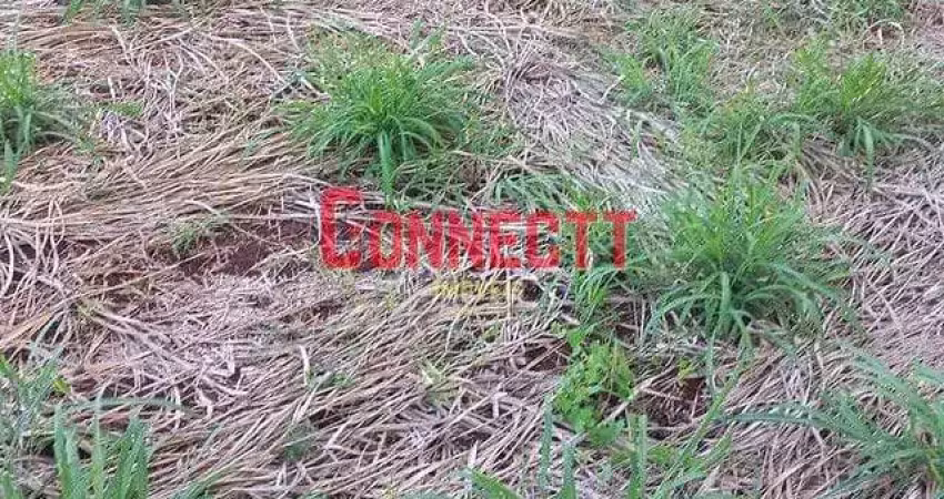 Terreno à venda, 160 m² por r$ 123.000,00 - parque das oliveiras - ribeirão preto/sp