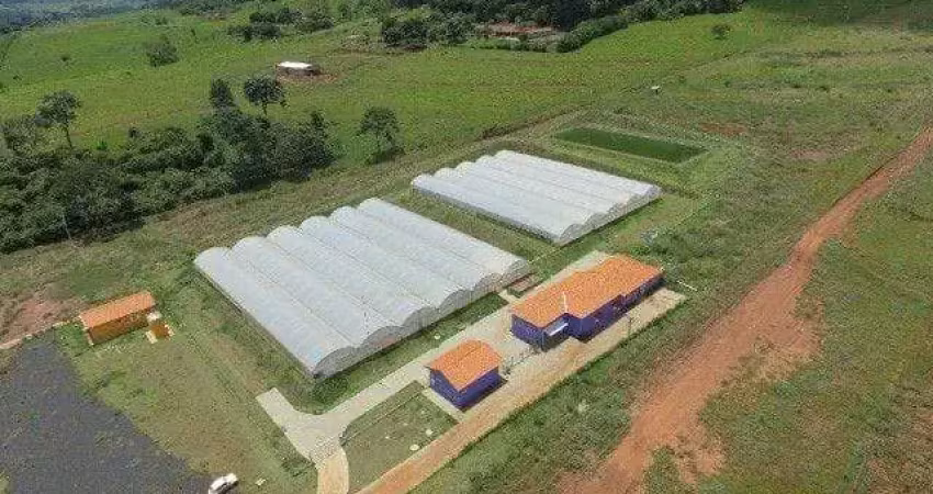 Fazenda à venda, 135000 m² por r$ 2.820.000,00 - zona rural - ribeirão preto/sp